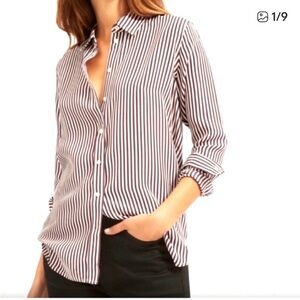 Everlane Brown and White Gorgeous Silk Button Down Shirt